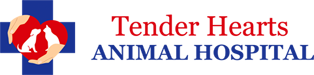 Veterinarian in Kissimmee, St Cloud and Orlando, FL | Tender 
